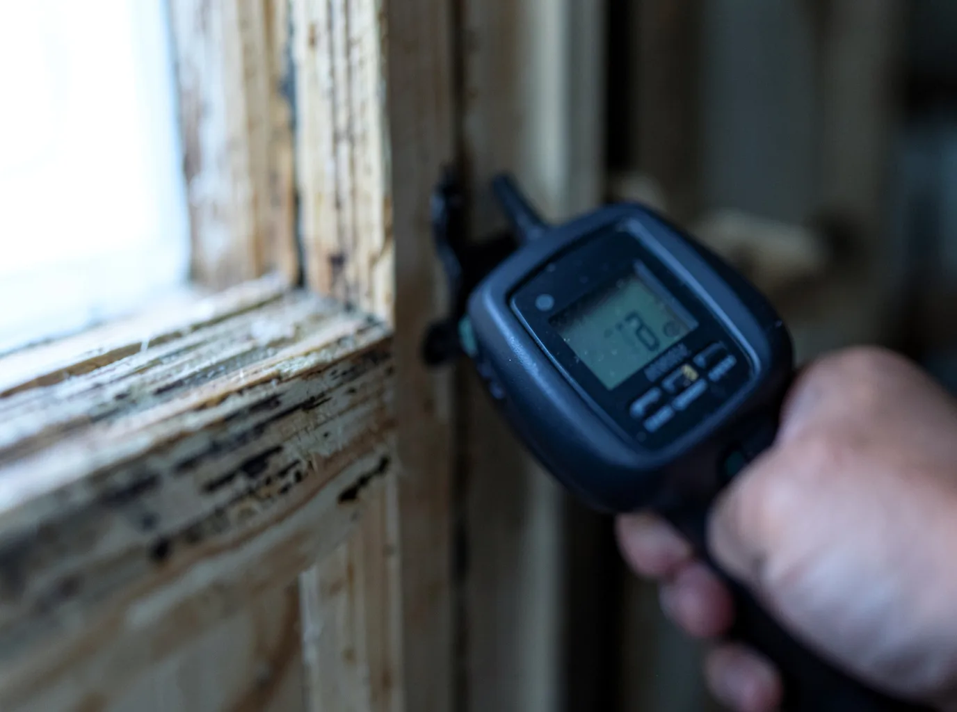 Moisture Inspection And Documentation in Roduco, NC